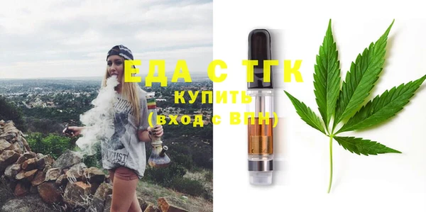 spice Богородицк