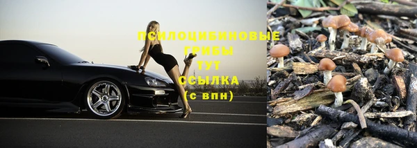 герыч Богданович