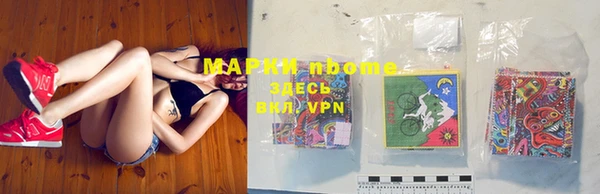 spice Богородицк