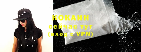 spice Богородицк