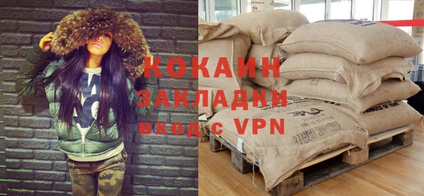 spice Богородицк